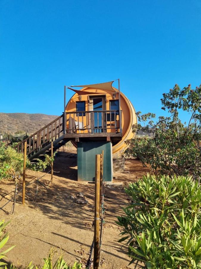 Finca El Mirador 장크트 고아르스하우젠 외부 사진