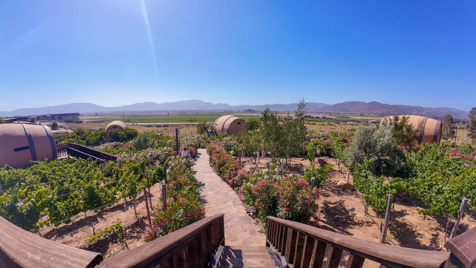 Finca El Mirador 장크트 고아르스하우젠 외부 사진